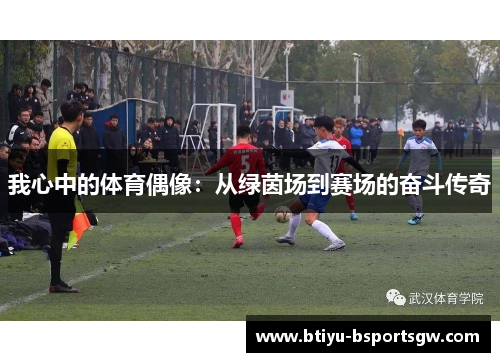 我心中的体育偶像：从绿茵场到赛场的奋斗传奇